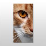 Technopa Kedi 80x120 cm Kanvas Tablo