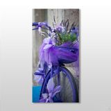 Technopa Mor Bisiklet 70x105 cm Kanvas Tablo