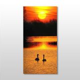 Technopa Ördek ve Gün Batımı 130x195 cm Kanvas Tablo