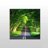 Technopa Orman Içindeki Yol 190x190 cm Kanvas Tablo