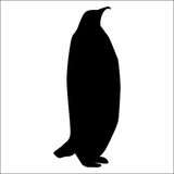 Technopa Penguen 130 cm Folyo Duvar Stickerı