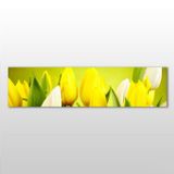 Technopa Sarı Laleler 240x80 cm Kanvas Tablo