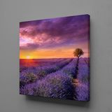 Technopa Sümbül Tarlası 50x50 cm Kanvas Tablo