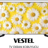 Technozi Vestel Uyumlu 43" inç 143 Ekran Tv Koruyucu Kırılmaz Paneli