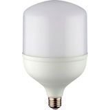 Techora Sale 1 Adet Noas YL95 6002 LED Torch Ampul 60W 3200K Gün Işığı E27 Duy