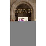 Techora Sale Harry Potter Koleksiyon Sürpriz Figür Oyuncak Seti - Renkli