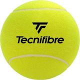 Tecnifibre 24 Cm Sarı İmza Tenis Topu 55Tfgbjaun