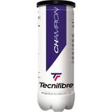 Tecnifibre Champion 3'lü Tenis Topu Kutulu Sarı Renk