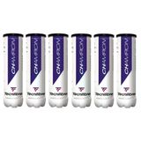 Tecnifibre Champion 4'Lü 6 Kutu Tenis Topu