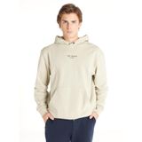 Ted Baker Logolu Kapüşonlu Sweatshirt, 2XL, TBFW25MTSS010, Mint, erkek