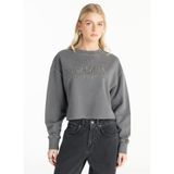 Ted Baker Metal Taşlı Sweatshirt, L, TBFW25FTSS009, Antrasit, kadın