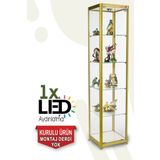 Teda Camlı Vitrin - Camlı Dolap - Camlı Koleksiyon Vitrini - Cam Raf - Kurulu Ürün 180x40x40