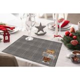 Teddies Kumaş Amerikan Servis 4'lü Set 35X50CM (Keten Kumaş, Ulusl. Yıkama ve Solmama Sertifikası) - 35 x 50 cm - Çok Renkli