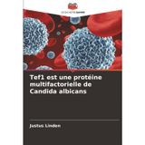 Tef1 est une protéine multifactorielle de Candida albicans