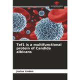 Tef1 is a multifunctional protein of Candida albicans