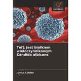 Tef1 jest bialkiem wieloczynnikowym Candida albicans