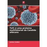 Tef1 é uma proteína multifatorial da Candida albicans