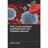 Tef1 è una proteina multifattoriale del Candida albicans