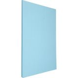 Tek Kağıtçılık Açık Mavi Pelur Kağıt 17 gr 25'li 50 x 70 cm