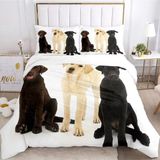 Tek Kişilik Yatak Seti Labrador Nevresim Çocuklar Için Yumuşak Hipoalerjenik Mikrofiber Yorgan Kılıfı, Fermuarlı 1 Nevresim 135X200 cm + 2 Yastık Kılı