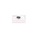 TEKER RULMANI ARKA VECTRA.A 1.8-2.0 OMEGA 2.0-2.5 SKF-VKBC20034