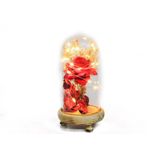 Tekinhediyelik Fanus Gül 19/10cm ( 35 İS )