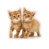 Tekir kedi turuncu yavru araba Sticker 18Cm Model2