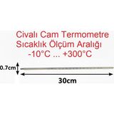 Tekno İstanbul Civalı Termometre - Kimya Termometresi - Cam Baget Termometre -10..300°C - Şeffaf