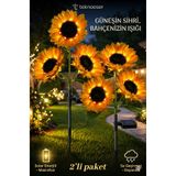 TeknoEser Güneş Enerjili Solar Bahçe Aydınlatması - 2'li Paket Dev Ayçiçeği Led Lamba - Su Geçirmez Dekoratif Bahçe Lambası