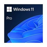 TeknoKapsül 11 Trk 64 Bit Oem FQC-10556 Işletim Sistemi