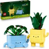 TeknoKapsül Botanicals Mutlu Bitkiler 10349 - Renkli Saksılar ile Dracaena Çiçeği Içeren Sevgililer Gün