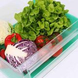 TeknoKapsül Buzdolabı Meyve Sebze Koruyucu Matı Nem & Küf Önleyici Green