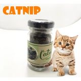TeknoKapsül Catnip Doğal Kedi Otu - Kedi Nanesi
