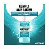 TeknoKapsül Cool Mint Hafif Naneli Alkolsüz Günlük Ağız Bakım Ürünü (1 x 500 Ml)