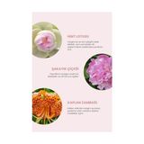 TeknoKapsül Deoproce Beyazlatıcı ve Işıltı Artırıcı White Flower Bb Krem 30 Mililitre No:21 - Option-1