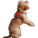 TeknoKapsül Design, Turuncu, Çantalı Göğüs Tasması, Köpek Sırt Çantası – 2’si 1 Arada Göğüs Tasması Fonksiyonlu, Ayarlanabilir, Küçük & Büyük Irklar Için, Small