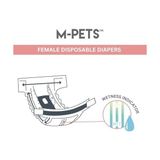 TeknoKapsül Diapers Dişi Köpekler Için Külot (M) 10LU