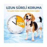 TeknoKapsül Dişi Tuvalet Bezi L – Emici Sızdırmaz Pet Bezi, Regl (Kızgınlık) Dönemi, Idr