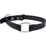 TeknoKapsül Educator Ekstra Küçük Köpek Mini Çift Bungee Köpek Tasması, Biyotan, Su Geçirmez, Kokusuz, Metal Toka ve Iki Konfor Döngüsü ile D Halka, Özel Uyum Için Ayarlanabilir, 7/10 Cm, Siyah