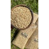 TeknoKapsül ESDUR AŞURELİK BUĞDAY 1 KG BZ-8697414430862