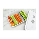 TeknoKapsül Fresh & Save Vakum Aksesuarları Seti Plastik Kutular Için, M/l / 2-Parça - 0 Siyah - Option-1