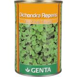 TeknoKapsül Genta Dichondra Repens Çim Tohumu 250 gr