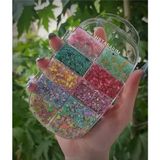TeknoKapsül Gliter Far Simli Palet 5, Serashinegozfarı59