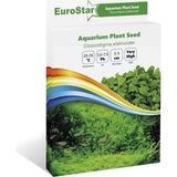 TeknoKapsül Glossostigma Elatinoides Akvaryum Bitkisi