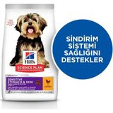 TeknoKapsül Hill's Science Plan Hassas Mide & Deri Yetişkin Küçük Mini Irk Tavuklu 1.5 kg