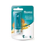 TeknoKapsül Himalaya Besleyici Dudak Kremi, Lip Balm, Buğday Tohumu Yağı, NEMLENDIRICI,%100 Doğal Renk, Silikon Içermez, 4,5 gr - Option-1