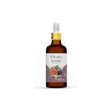 TeknoKapsül Incir Çekirdeği Yağı 20 ml (Soğuk Sıkım)