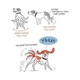 TeknoKapsül Kedi Dili ve Köpek Dili - Kartpostal - Ayraç - Aşı Takip Kartı - Ikili Set