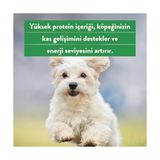 TeknoKapsül Kito Freeze Dried Tavuk Göğüs Ödül MAMASI%100 Doğal, Glutensiz 30 Gr(Cat Treat)