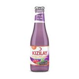 TeknoKapsül Maden Suyu Karadut-Frenk Üzümü 200ML 1 Adet